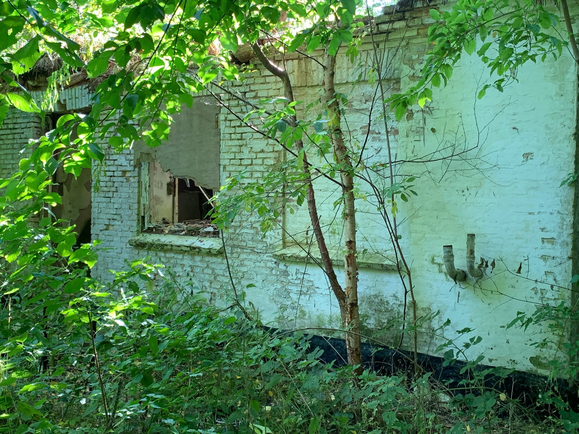Bildmaterial zum Quellenbeitrag: Fiskbækgård - ein 4-flügeliger Hof von 1864 auf Kær Vestermark
