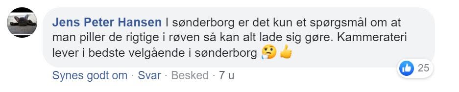 Billedmateriale fra indlægget: Panik før lukketid! I aften bliver en af de mærkeligste sager i Sønderborgs nyere politiske historie måske afgjort. Det startede som en relativ s